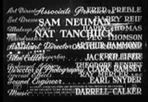 The Hoodlum (1951) poster