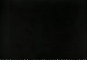 The House I Live In (1945) poster